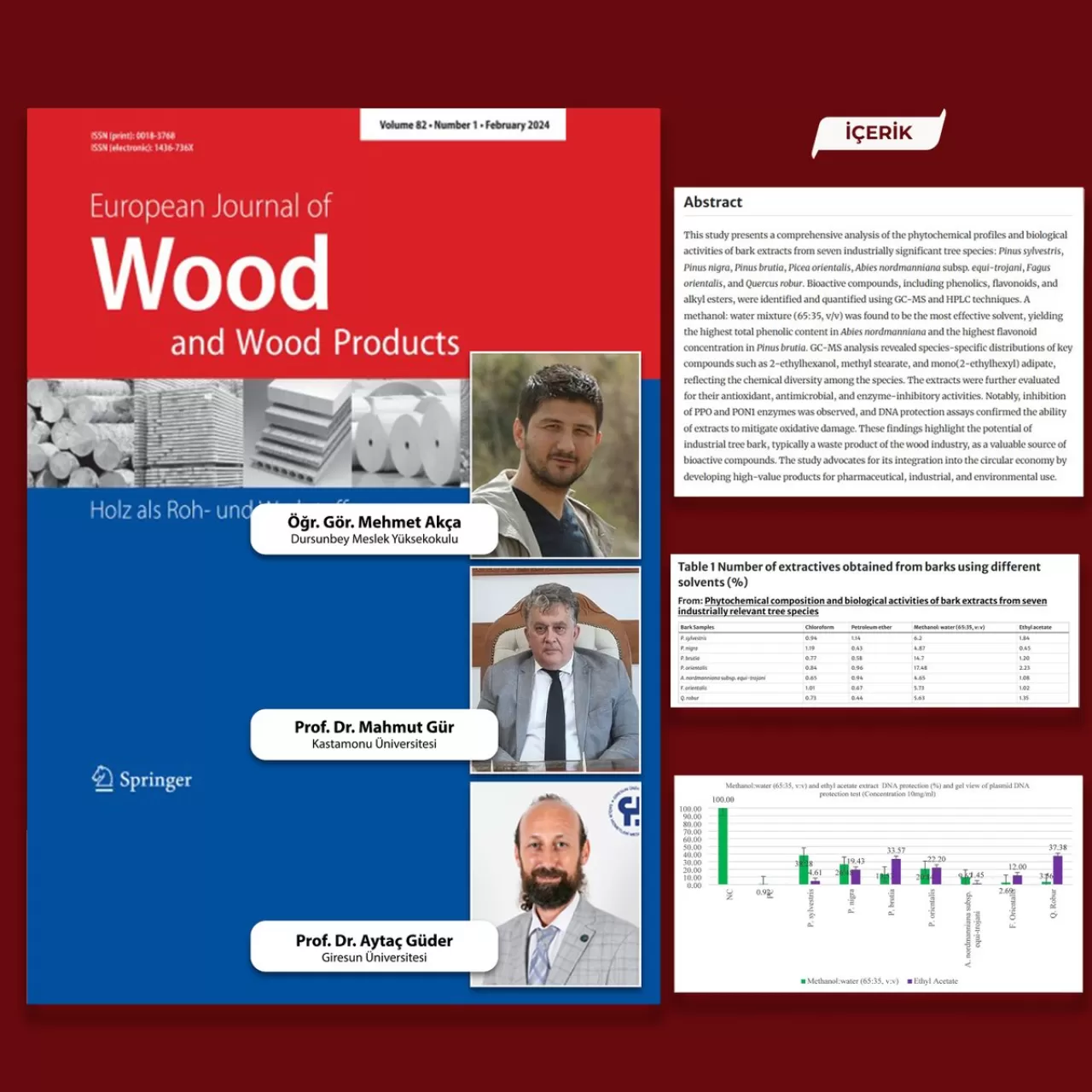 Balıkesir Üniversitesi'nden Bilimsel Atılım: Ağaç Kabukları Sanayi ve Sağlık Sektöründe Değerlendirilecek