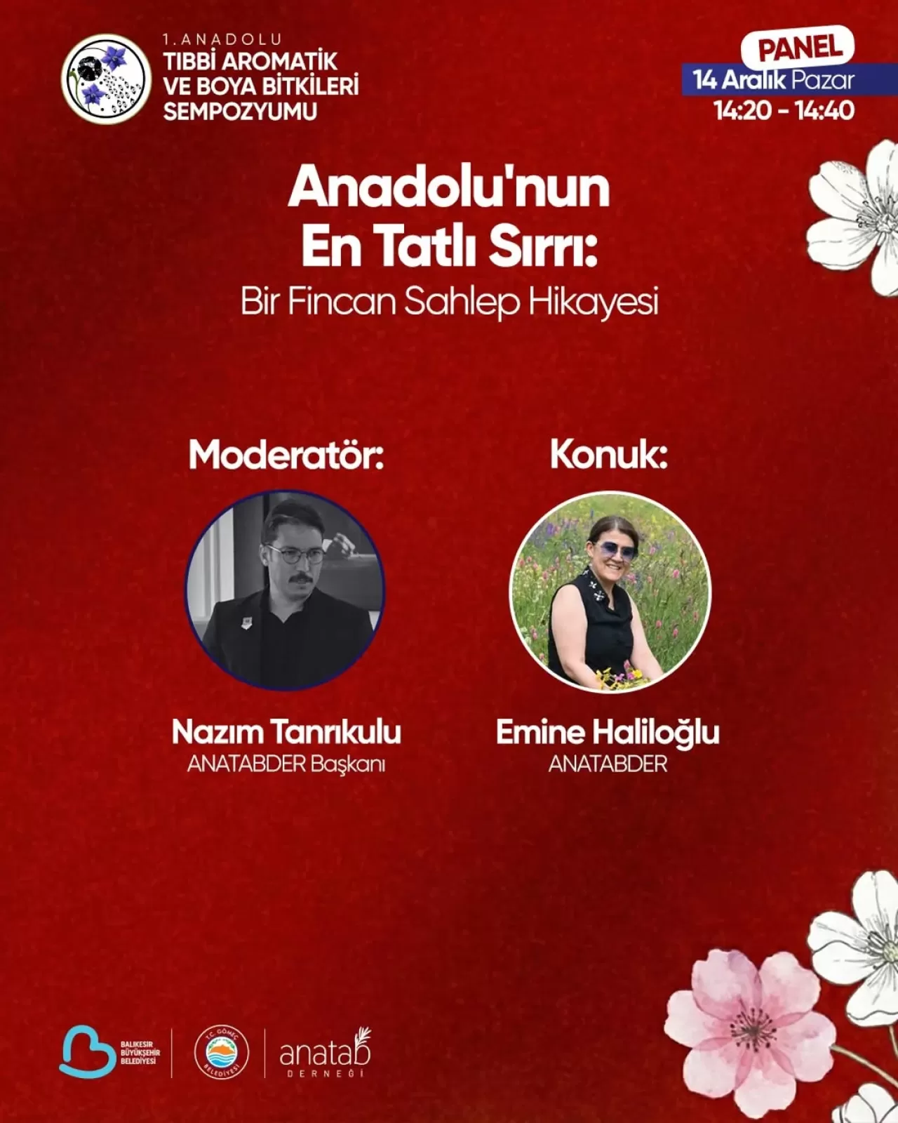 Gömeç'te Anadolu'nun