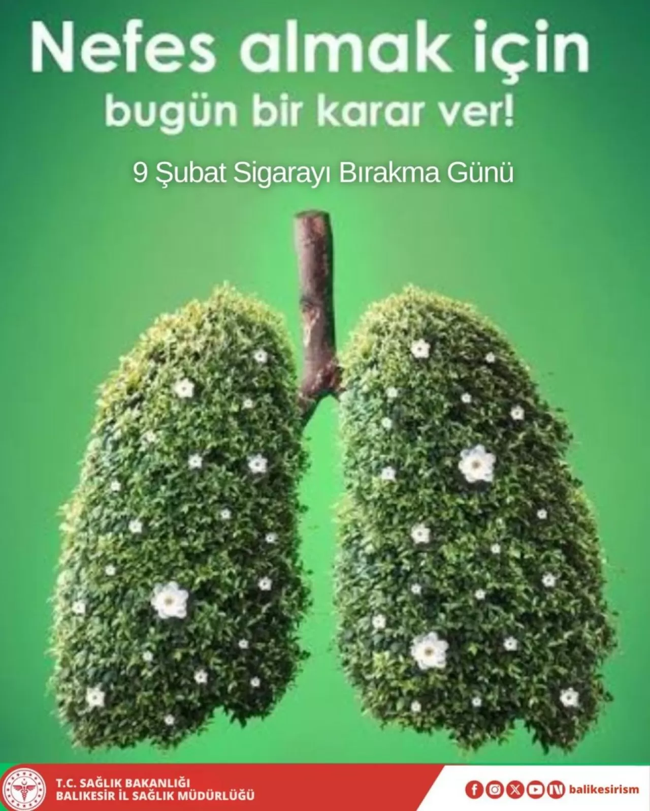 Balıkesir'de Sigarayı Bırakmak İsteyenlere Ücretsiz Destek Hattı