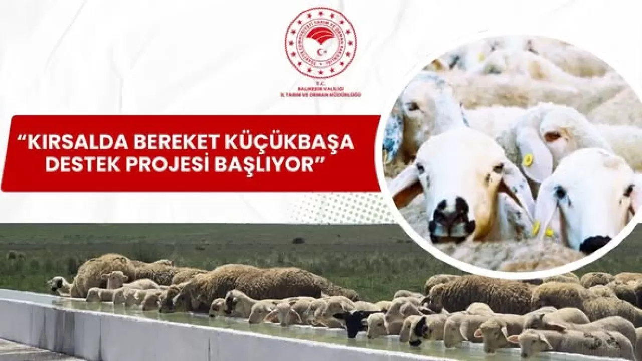Küçükbaş Hayvancılık Destek Projesi 2026'da Başlıyor
