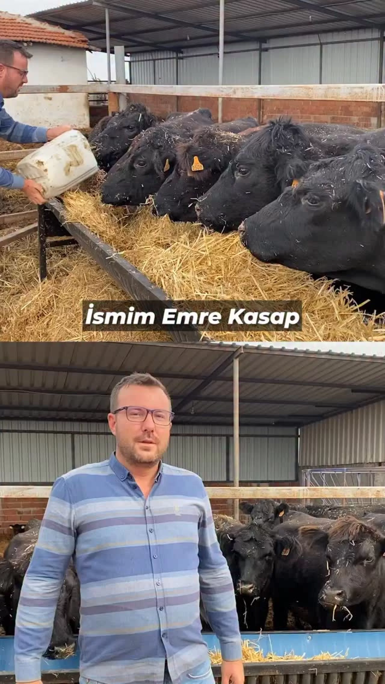 Balıkesir'de Genç Ziraat Mühendisi, Hayvancılıkta Başarı Hikayesi Yazdı