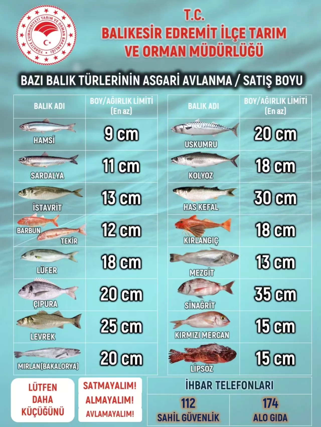 Edremit'te Balıkçılık Kuralları İçin Bilgilendirme Afişi Hazırlandı
