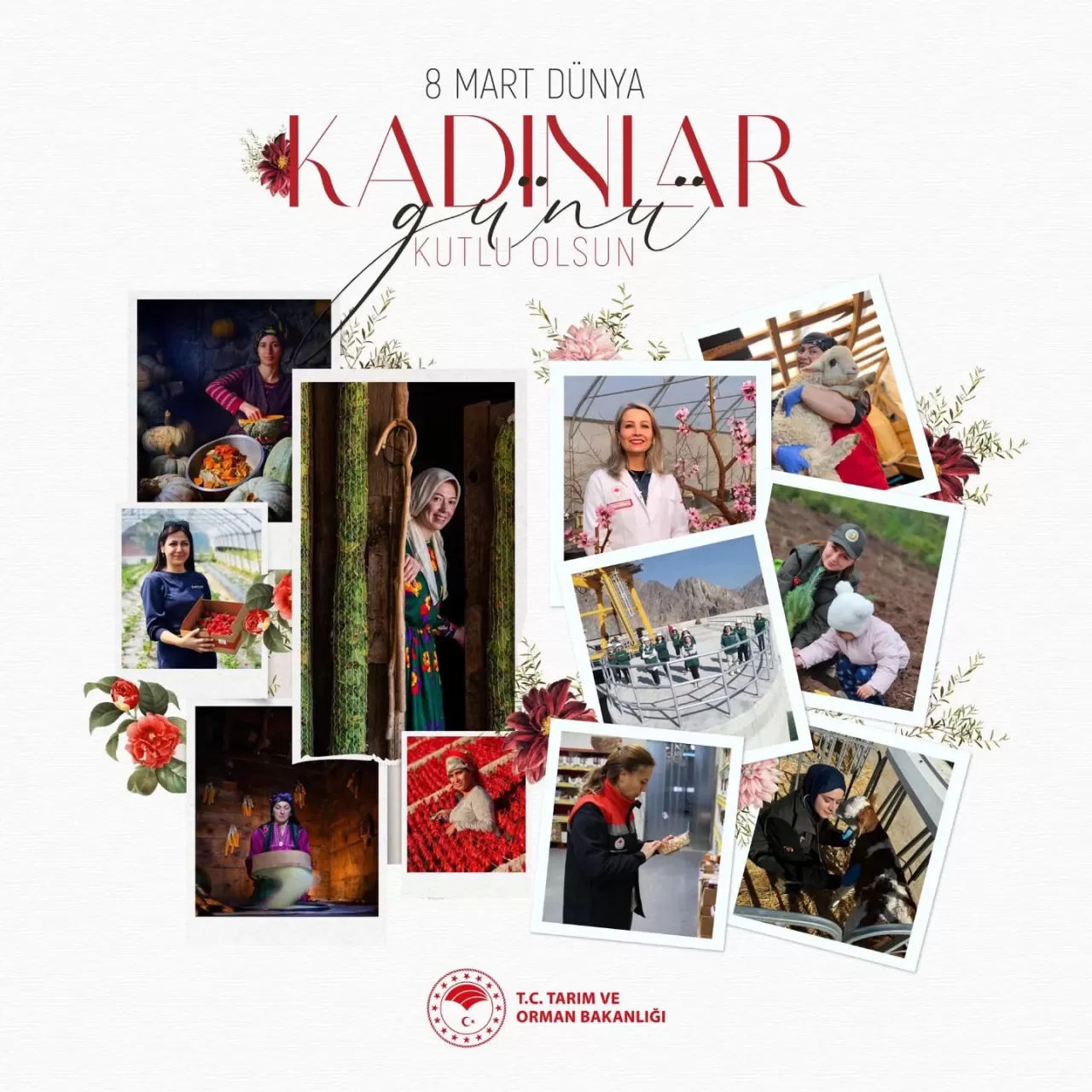 Edremit'te Kadın Çiftçiler ve Personeller Dünya Kadınlar Günü'nde Kutlandı