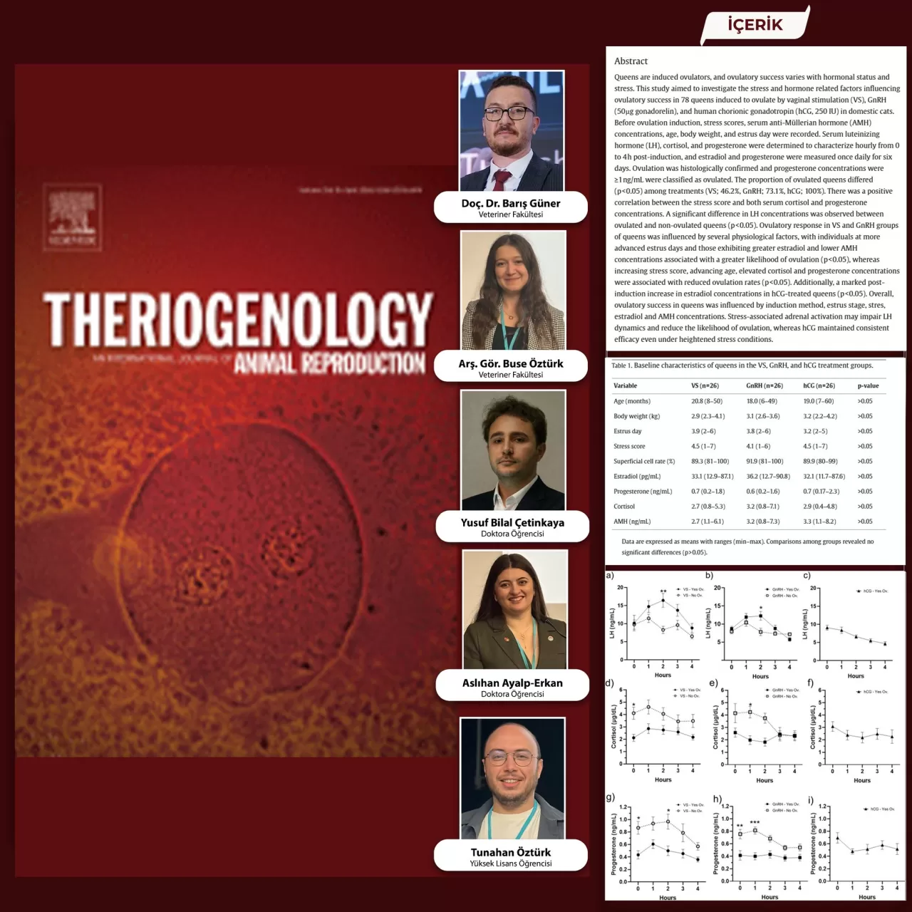 Balıkesir Üniversitesi'nden Önemli Araştırma: Stres Dişi Kedilerde Yumurtlamayı Etkiliyor