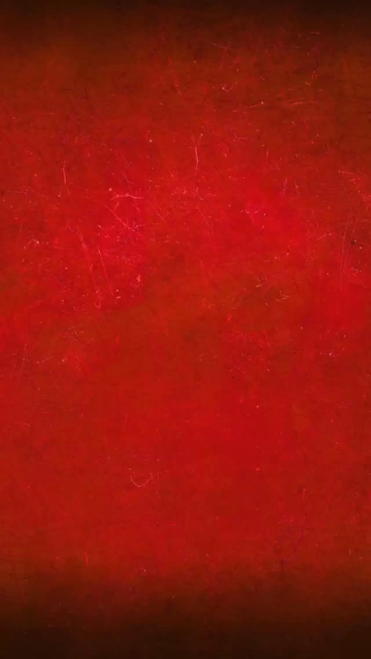 Millî Eğitim Bakanı Yusuf Tekin, Gençlerin Sorularını Yanıtladı