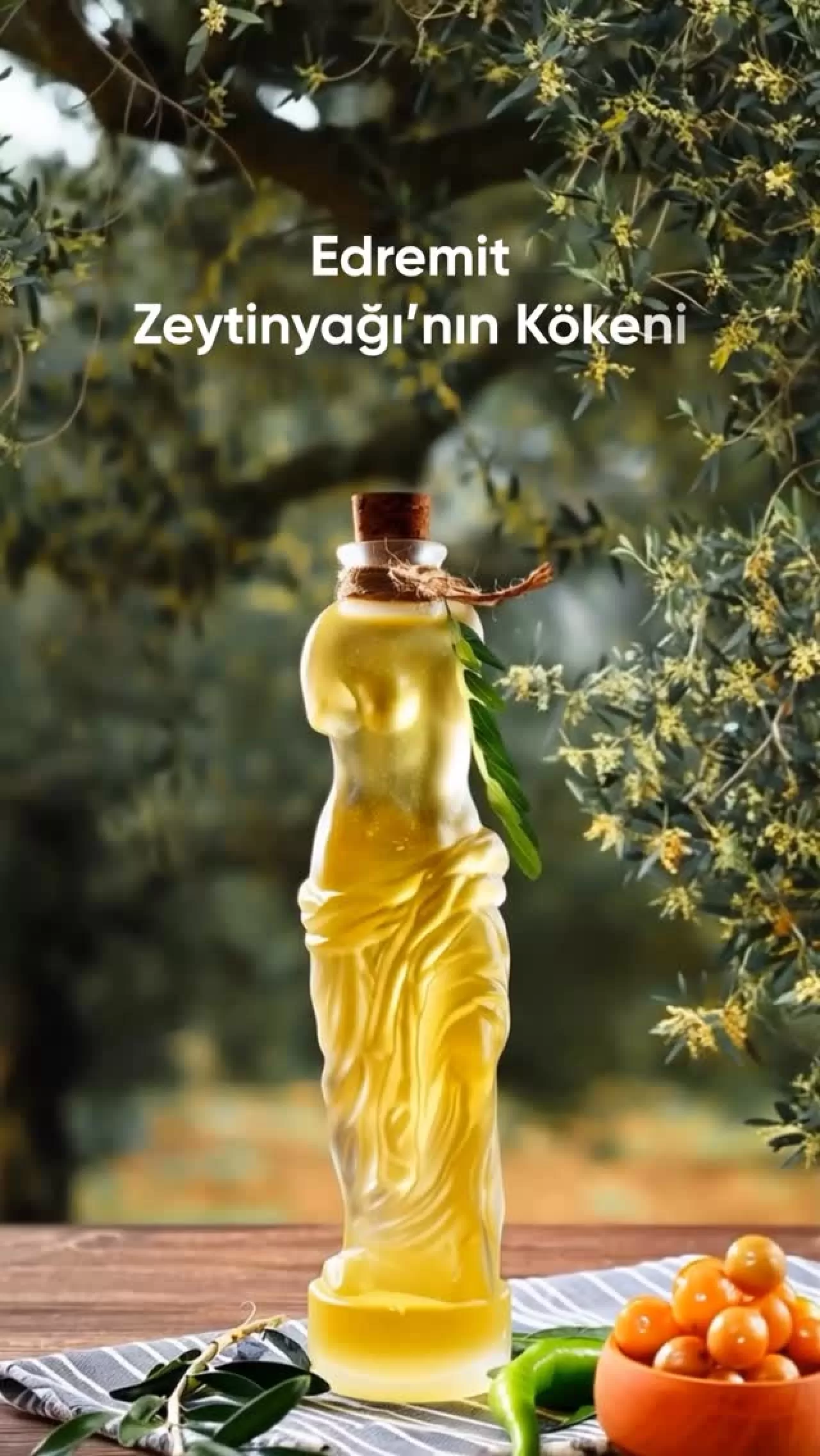 Edremit Zeytinyağı'nın Bin Yıllık Mirası, Coğrafi İşaretle Tanıtılıyor