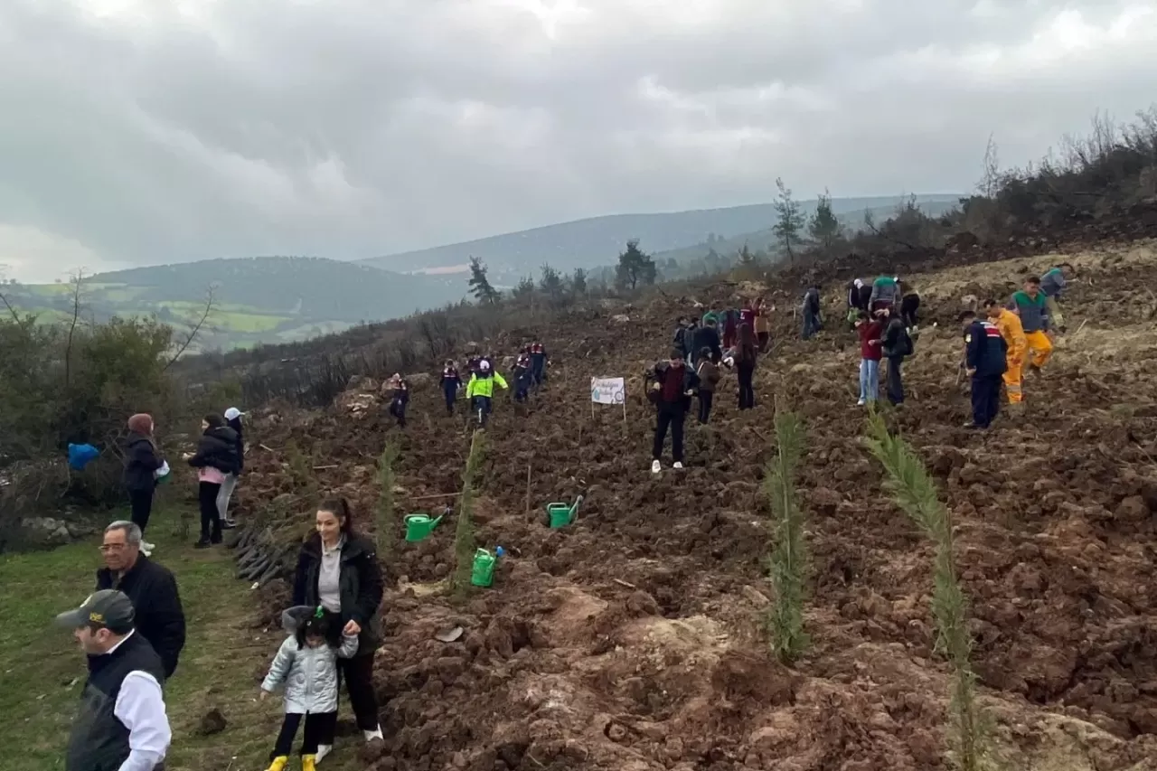 Kepsut'ta Ormancılık Haftası Coşkusu: Geleceğe Nefes İçin Fidanlar Toprakla Buluştu
