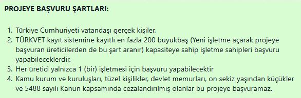 Kırsalda Bereket: Hayvancılığa Destek Projesinde Başvurular Başladı