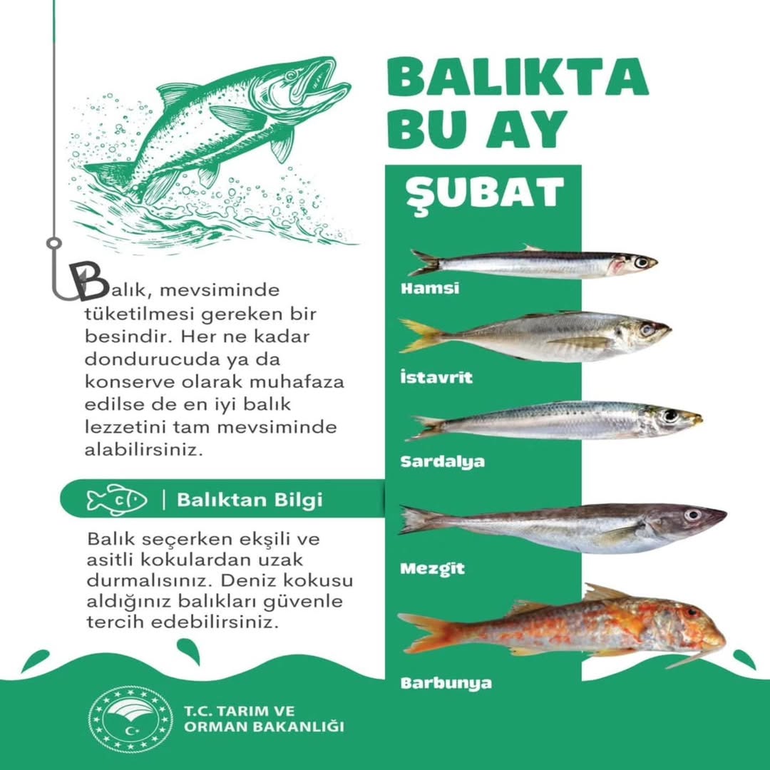 Şubat Ayında Hangi Balıkları Tüketmeli?