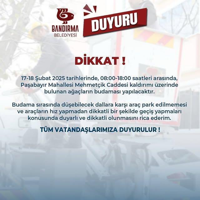 Paşabayır Mahallesi’nde Ağaç Budama Çalışmaları Başlıyor