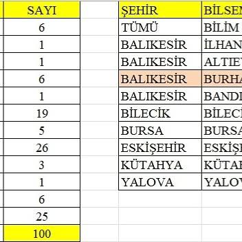 Burhaniye Bilim ve Sanat Merkezi'nden Büyük Başarı: 6 Proje Finale Kaldı