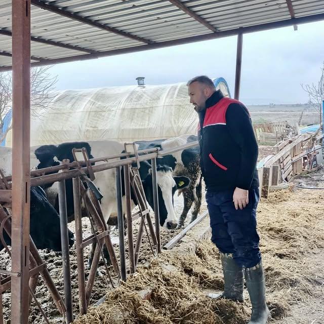 Balıkesir'de Hayvan Sağlığı İçin Aşılama ve Küpeleme Seferberliği
