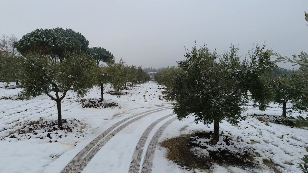 Edremit'te Soğuk ve Bulutlu Bir Gün Bekleniyor