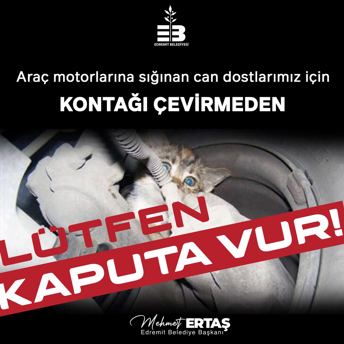 Soğuk Havalarda Araç Motorlarına Sığınan Minik Dostlarımızı Unutmayalım