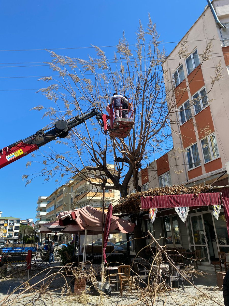 Edremit Belediyesi'nden Yeşil Alanlara Bakım Hamlesi