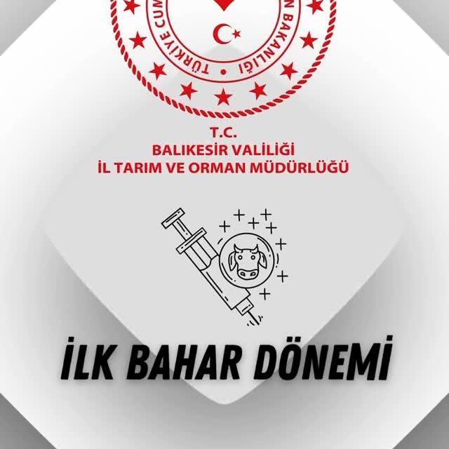 Balıkesir'de İlkbahar Şap Aşılama Çalışmaları Devam Ediyor