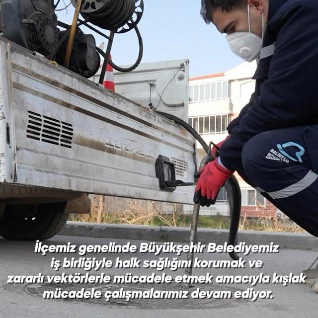 Sındırgı'da Kışlak Mücadelesi Çalışmaları Tamamlandı