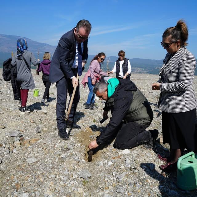 Balıkesir'de 2025 Aile Yılı Anısına Fidan Dikimi Etkinliği Gerçekleştirildi