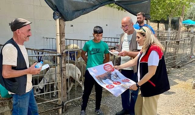 Balıkesir'de Kurban Bayramı Öncesi Hayvan Sağlığı Denetimleri Başladı
