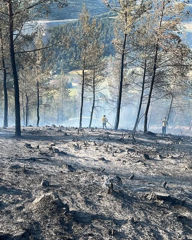 Balıkesir Dursunbey'de Orman Yangını Kontrol Altına Alındı