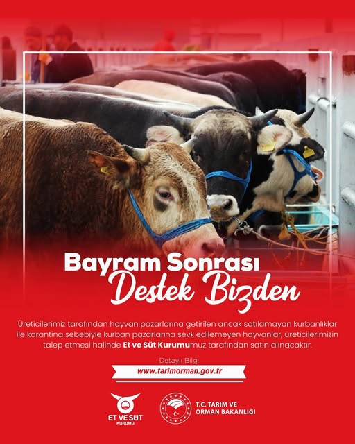 Gömeç'te Satılamayan Kurbanlıklar Et ve Süt Kurumu Tarafından Alınacak