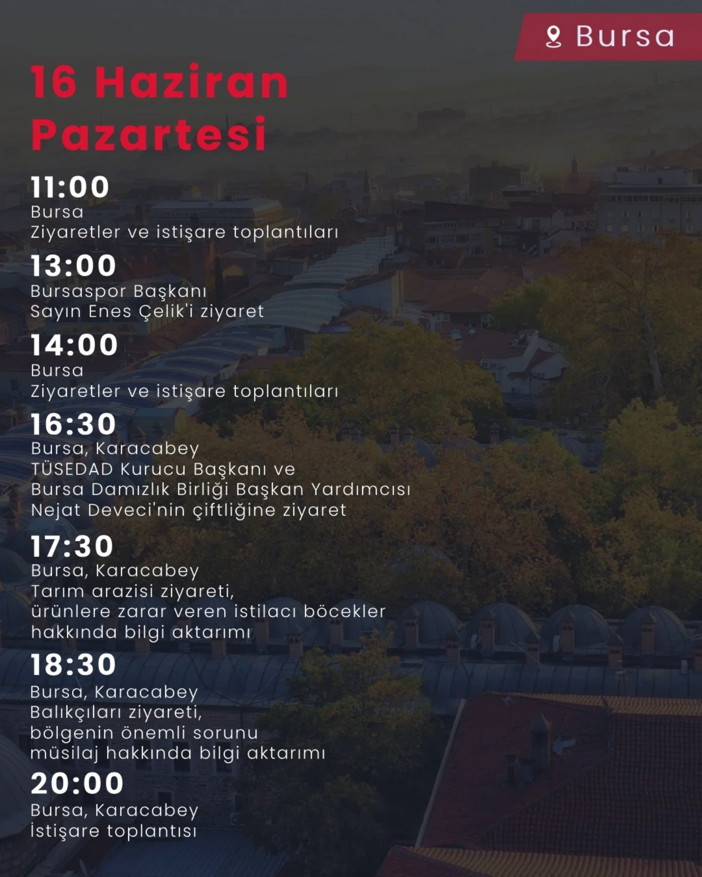 Deva Partisi Milletvekilleri Balıkesir ve Bursa'da Saha Çalışması Gerçekleştirdi