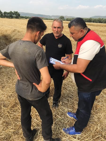 Gömeç'te Biçerdöver Kontrolleri Anız Yangınlarını Önlemeye Yönelik Devam Ediyor